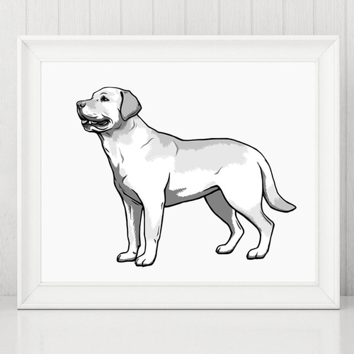 Labrador Retriever Canvas Print Pictures Home