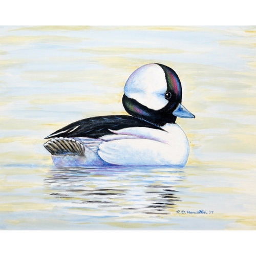 Betsy Drake PM827 Bufflehead Duck Place Mat - Set of 4