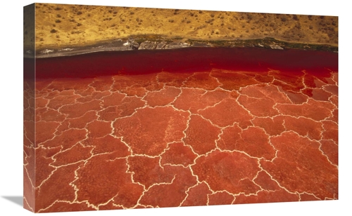 Global Gallery GCS-395769-1624-142 16 x 24 in. Soda Formations on the 