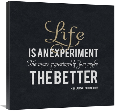 Global Gallery GCS-382229-3030-142 30 x 30 in. Quote - Emerson - Life 