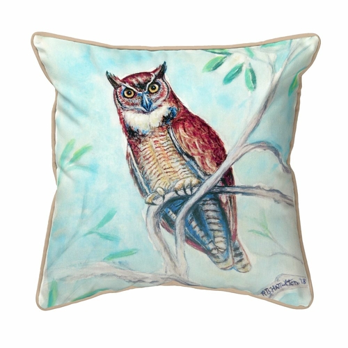 Betsy Drake SN732 12 x 12 in. Owl in Teal Small Indoor & Outdoor Pillo