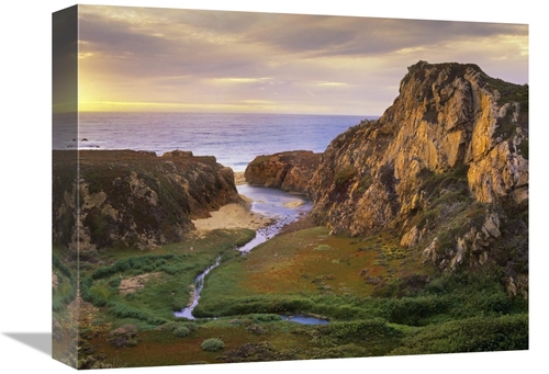 Global Gallery GCS-397090-1216-142 12 x 16 in. Garrapata Creek Flowing