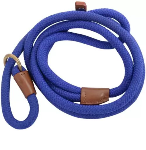British Style Slip Leash 152.4 cm Dog Cord Leash  (Blue)