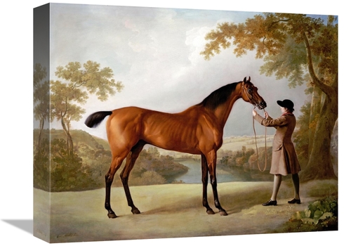 Global Gallery GCS-267361-16-142 16 in. Tristram Shandy Art Print - Ge