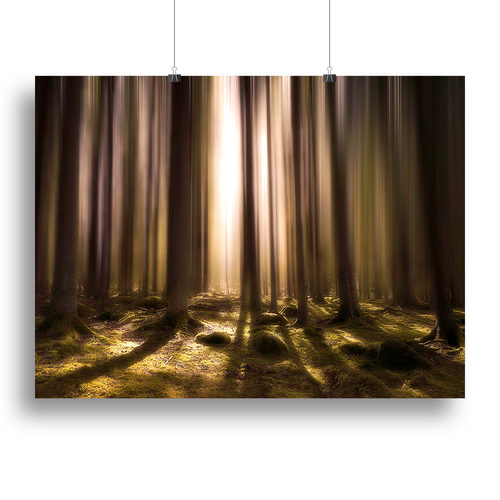 Breath Of Life Canvas Print or Poster