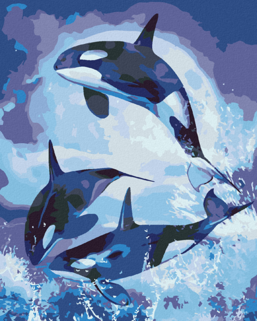 Zuty - Paint by Numbers - KILLER WHALE JUMPING (CAROL CAVALARIS),