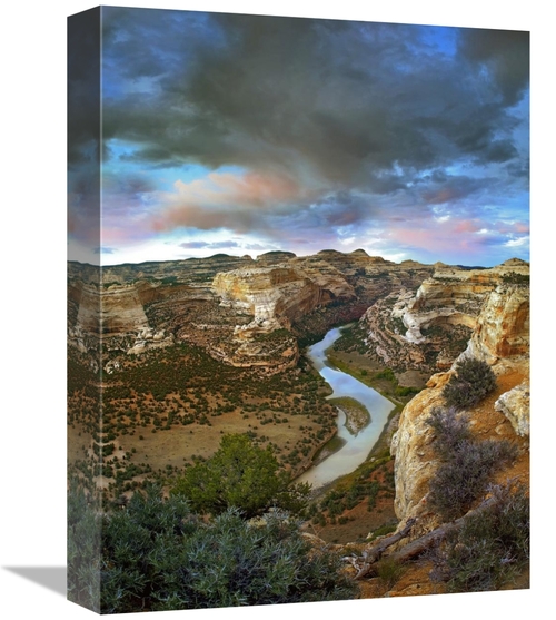 Global Gallery GCS-396471-1216-142 12 x 16 in. Winding Yampa River&#44