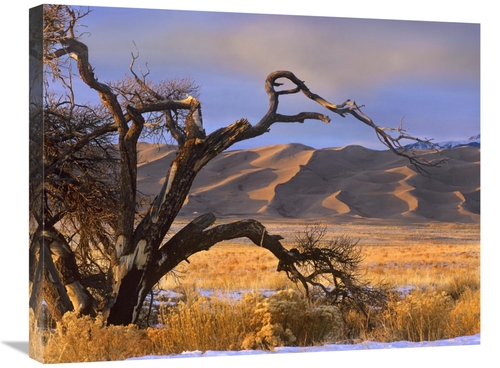 Global Gallery GCS-396705-2228-142 22 x 28 in. Grasslands & Dunes,