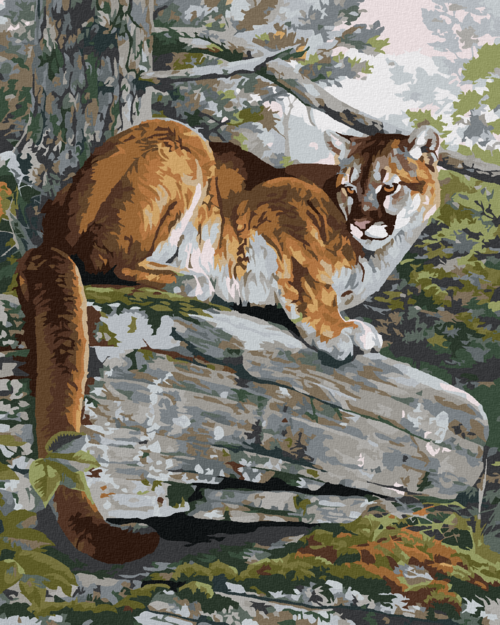 Paint by Numbers - COUGAR ON A ROCK (AL AGNEW)