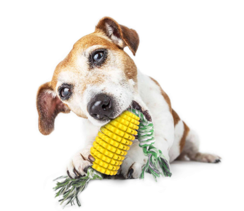 Pet Toothbrush Corn Stick Pet Dog Chew Bite Toys 