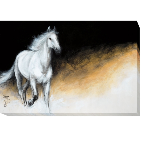 Artistic Home Gallery 1624JT745CG Light & Dark by Katic Milenko Premiu
