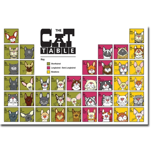 Artistic Home Gallery 1624M733IG The Cat Table by Angry Squirrel Studi