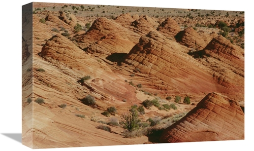 Global Gallery GCS-452903-1218-142 12 x 18 in. Wind Sculpted Colorado 