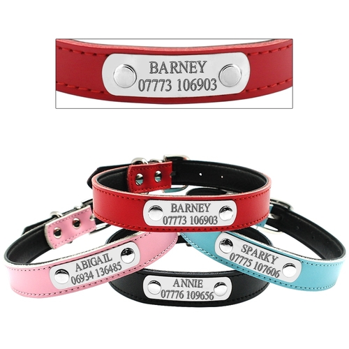 Leather Personalized Dog Collars and Leash Set