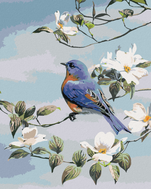 Zuty - Paint by Numbers - BLUEBIRD ON A BRANCH AND WHITE FLOWERS (AL