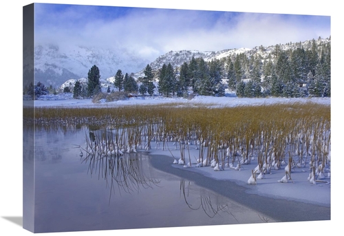 Global Gallery GCS-396856-1824-142 18 x 24 in. June Lake & Clearing St