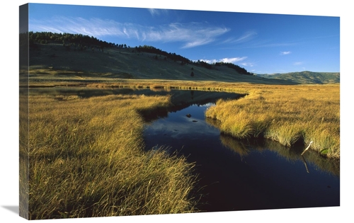 Global Gallery GCS-396309-2030-142 20 x 30 in. Blacktail Lake, Yel