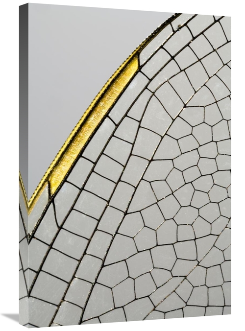 Global Gallery GCS-397976-2030-142 20 x 30 in. Emperor Dragonfly Wing&