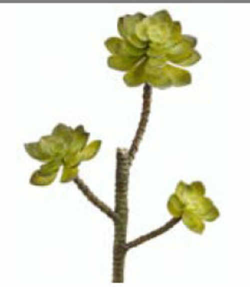 CM4128-GR 13 in. Green Echeveria Pick X3- Case of 12