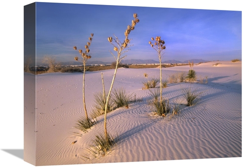 12 x 16 in. White Sands National Monument, New Mexico Art Print - 