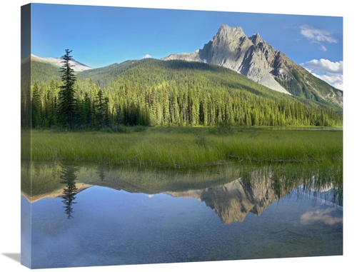 Global Gallery GCS-397016-2228-142 22 x 28 in. Mt Burgess Reflected in