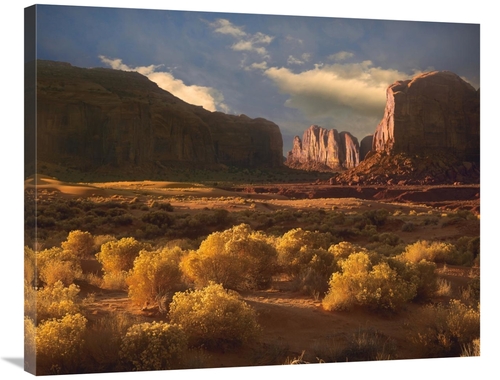 Global Gallery GCS-396490-2835-142 28 x 35 in. Camel Butte Rising Out 