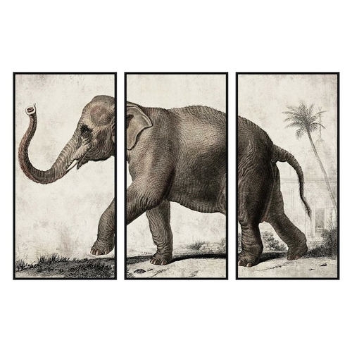 Canvas DKD Home Decor 3 Pieces Elephant Colonial (180 x 4 x 120 cm)
