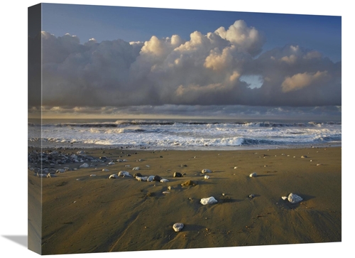 Main Global Gallery GCS-396367-1620-142 16 x 20 in. Beach & Waves, Corc image