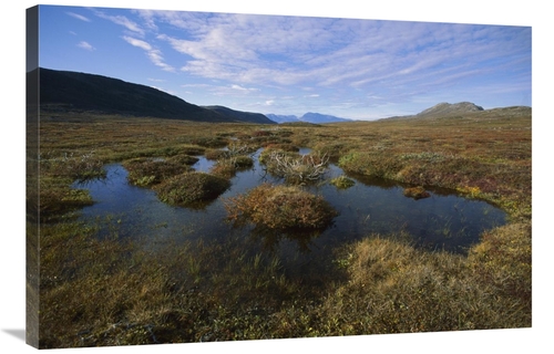 Global Gallery GCS-451546-2436-142 24 x 36 in. Tundra Bog in Autumn Co