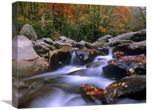 Global Gallery GCS-397203-1620-142 16 x 20 in. Little Pigeon River Cas