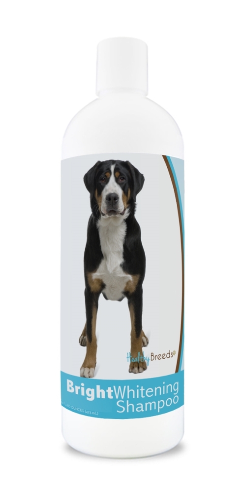 Healthy Breeds 840235169819 12 oz Greater Swiss Mountain Dog Bright Wh