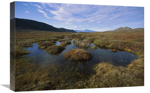 Global Gallery GCS-451546-1624-142 16 x 24 in. Tundra Bog in Autumn Co