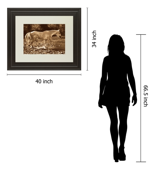 Classy Art DM5333 34 x 40 in. The Crossing by Wendy Caro Framed Print 