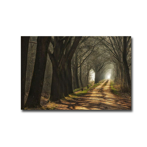 Artistic Home Gallery 1624Q788IG Paths by Lars Van De Goor Custom Gall
