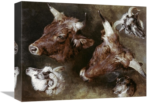 Global Gallery GCS-278167-16-142 16 in. Heads of Sheep & Cattle Art Pr