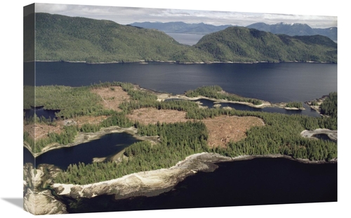 Global Gallery GCS-395785-1624-142 16 x 24 in. Aerial View of Clearcut