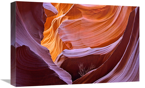 Global Gallery GCS-486639-22-142 22 in. Tumbleweed Canyon Art Print - 