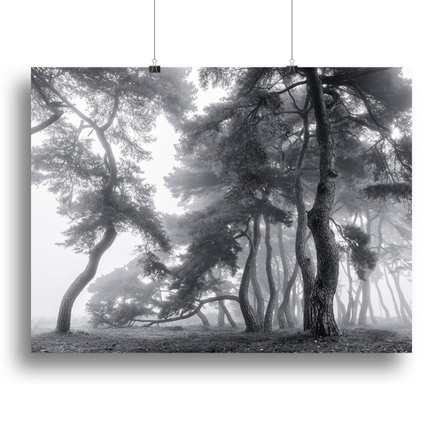 Endure For A Hundred Years Canvas Print or Poster