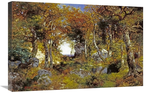 Global Gallery GCS-268320-30-142 30 in. The Woodland Pool Art Print - 