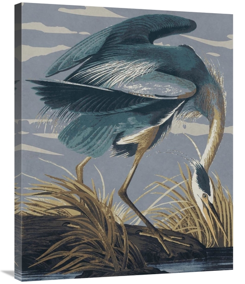 Global Gallery GCS-394762-2835-142 28 x 35 in. Audubon Decor - Great B