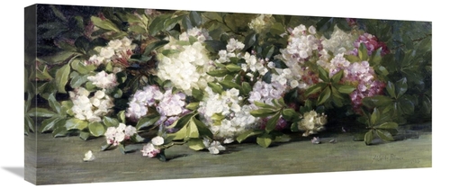 Global Gallery GCS-279313-30-142 30 in. Mountain Laurel Art Print - Ad