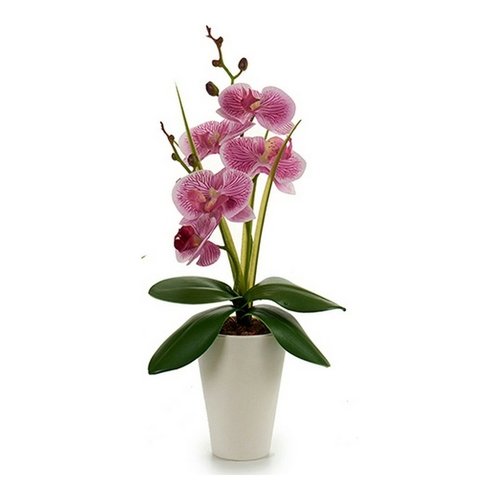 Decorative Plant Orchid 8 x 35 x 14 cm Purple Pink Lilac White Plastic