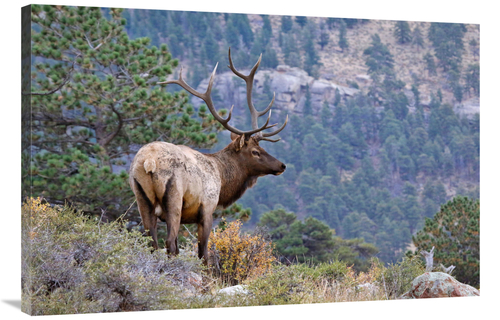 Global Gallery GCS-486457-40-142 40 in. Canyon View Art Print - Vic Sc