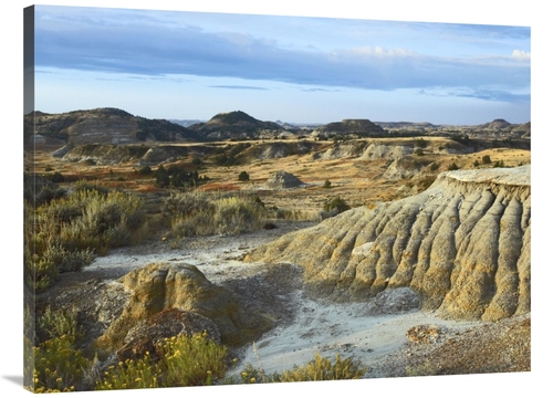 Global Gallery GCS-396742-3040-142 30 x 40 in. Badlands, South Uni