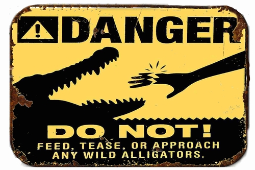 Danger Do Not Feed Alligators Metal  8 x 12 inch Tin Sign