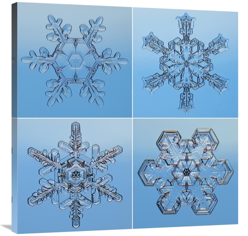 Global Gallery GCS-397283-3636-142 36 x 36 in. Snowflakes Seen Through