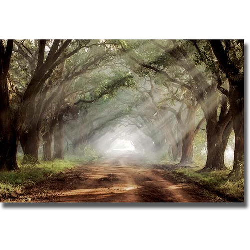 Artistic Home Gallery 2436526S Evergreen Plantation By Mike Jones Prem