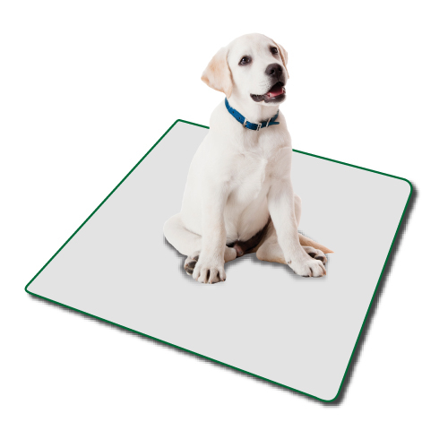 Small Indoor Turf Dog Potty Replacement Pad