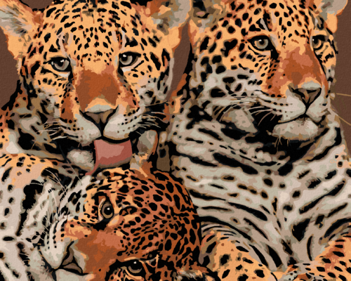 Paint by Numbers - MOTHER JAGUAR AND TWO CUBS