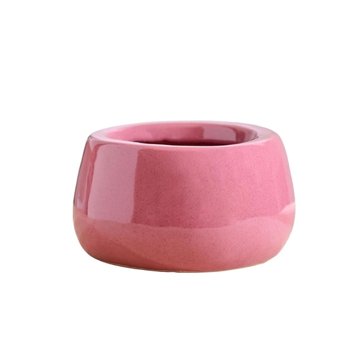 Tulip Fantasy 6031 Magenta Ceramic Pot